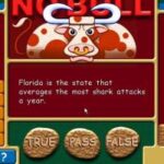 No Bull