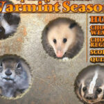 Opening Weekend: Varmint Season