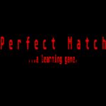 Perfect Match