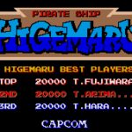 Pirate Ship Higemaru