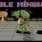 Pole Minowe