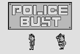 Police Bust