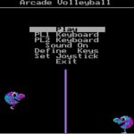 Arcade Volleyball