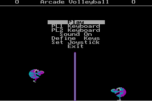 Arcade Volleyball