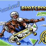 Pro Skateboard Simulator