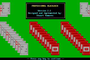 Professional Blackjack