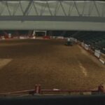 Professional Bull Rider