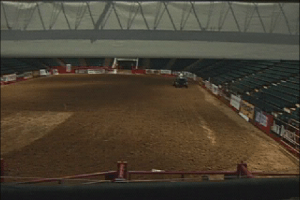 Professional Bull Rider