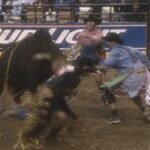 Professional Bull Rider 2