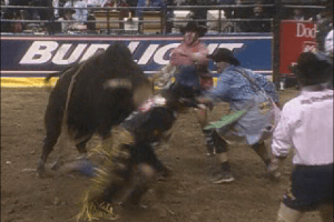 Professional Bull Rider 2