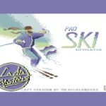 Professional Ski Simulator