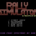 Rally Simulator
