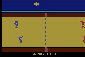 RealSports Volleyball