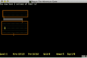Rogue: The Adventure Game