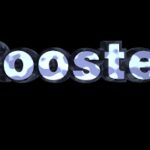 Rooster