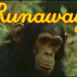 Runaway