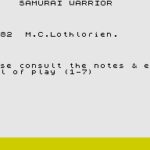 Samurai Warrior
